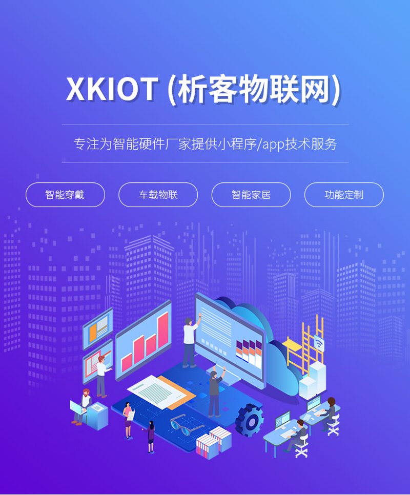 物联网定制开发